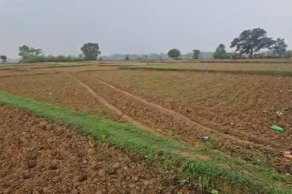 Rain: सूरजपुर में बारिश की कमी से खेती संकट में, धान की रोपाई ठप