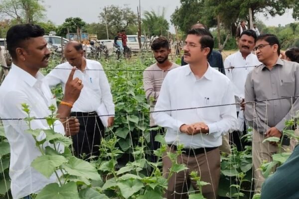 Success: खंडवा में सब्जी की खेती से बदली किसानों की किस्मत, अब लाखों की कमाई