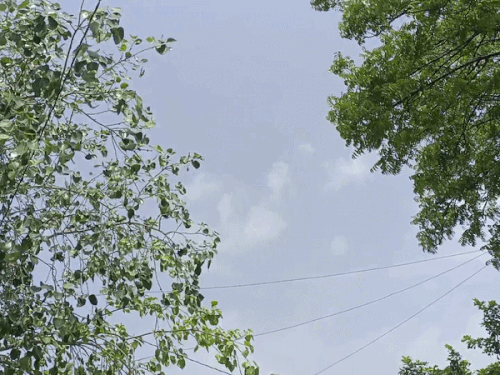 Weather अपडेट: सीकर में छाए बादल, अगले 24 घंटों में बारिश के आसार