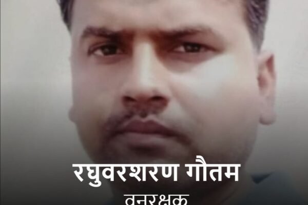 Negligence: नौरोजाबाद में वृक्षारोपण में लापरवाही पर वनरक्षक निलंबित, डीएफओ की कार्रवाई