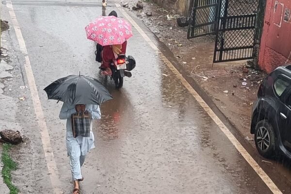 Rain: सिवनी में झमाझम बारिश से खिले किसानों के चेहरे, धान रोपाई में आएगी तेजी