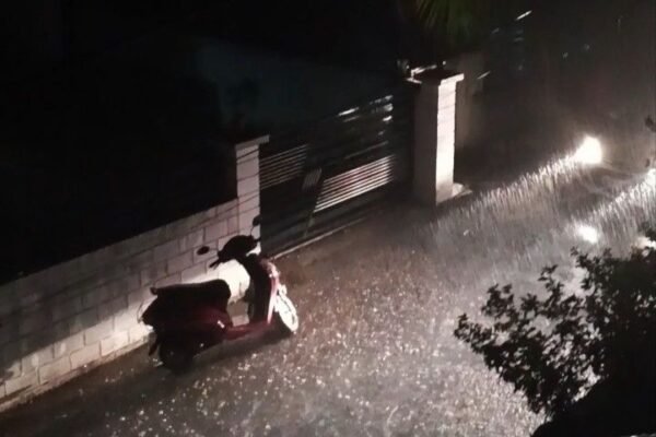 Rain: अनूपपुर के गांवों में झमाझम बारिश, किसान धान रोपाई के लिए तैयार