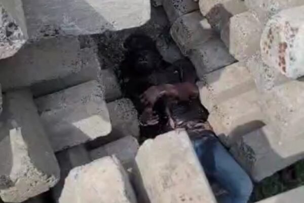 Dewas: रेलवे माल गोदाम के पास मिला अज्ञात शव, पुलिस जांच में जुटी