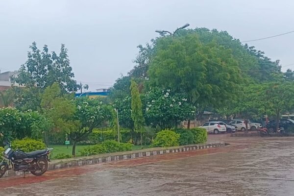 Rain: चंदेरी में 2 इंच बारिश, अशोकनगर-मुंगावली में भी मौसम हुआ सुहाना