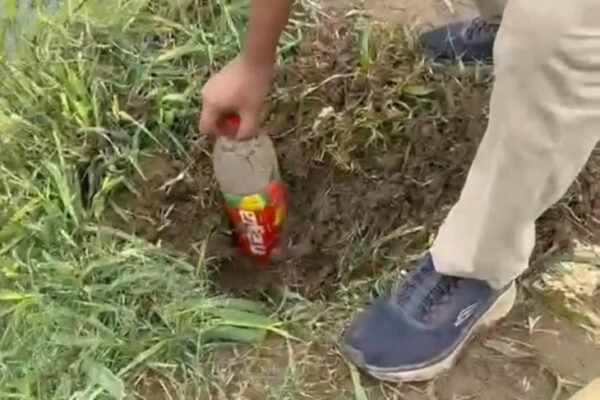 Dhamtari: खेत में दबी 80 लीटर अवैध शराब जब्त, 1.12 लाख का माल बरामद