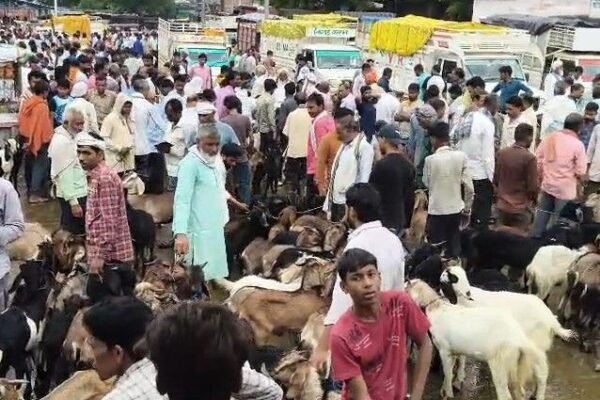 Khutar बकरी बाजार में अवैध वसूली: पंचायत ने टेंडर नकारे, जांच की मांग