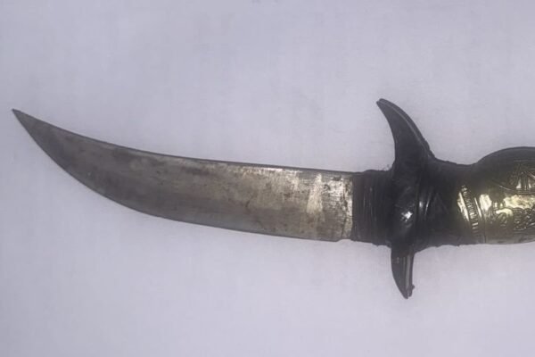 Korba: धारदार हथियार के साथ 2 युवक गिरफ्तार, इलाके में मचा हड़कंप