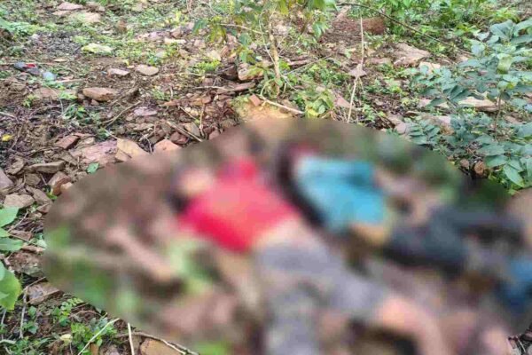 MP News: खाई में गिरी बाइक, पिता-पुत्र की मौत, महिला गंभीर