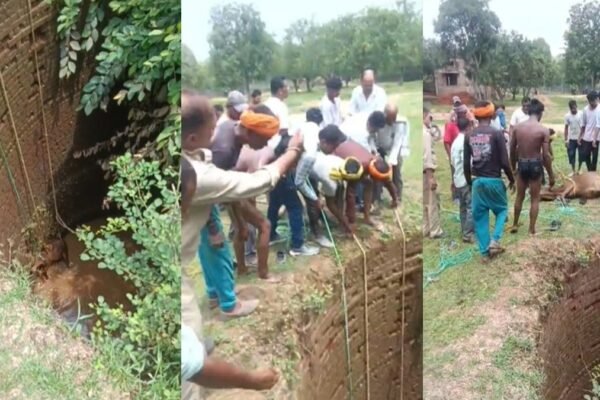 छत्तीसगढ़: कुएं में गिरा बैल, ग्रामीणों और डायल-112 ने बचाई जान