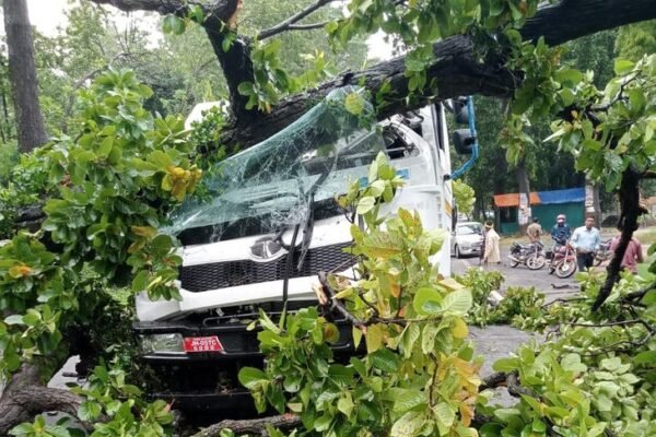 Surajpur: हाईवे-43 पर ट्रक पर गिरा पेड़, ड्राइवर की हालत गंभीर