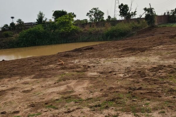 Land माफिया: राजिम में सरकारी नहर पाटने पर भी नहीं हुई कार्रवाई, SDM ने दिया नोटिस