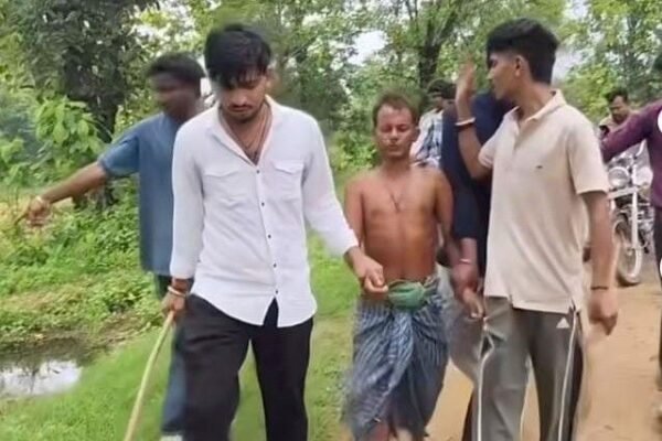 Korba: नर्मदा गांव में गोवंश के अवशेष मिलने से हड़कंप, एक संदिग्ध हिरासत में