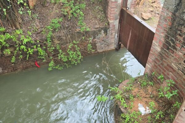 Panchna: 20 साल बाद पांचना नहरों में दौड़ा पानी, किसानों के चेहरे खिले