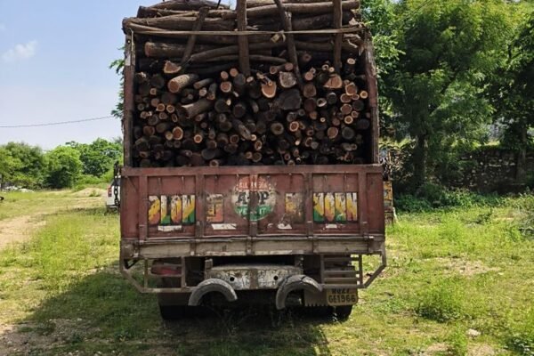 Smuggling: आंबा डेम टापू से लकड़ी चोरी करते 2 तस्कर गिरफ्तार, ट्रक जब्त