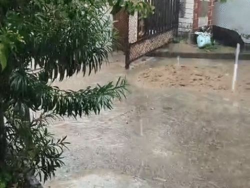 Monsoon एक्टिव: छत्तीसगढ़ में आज भारी बारिश का अलर्ट, कमी पूरी होने की उम्मीद