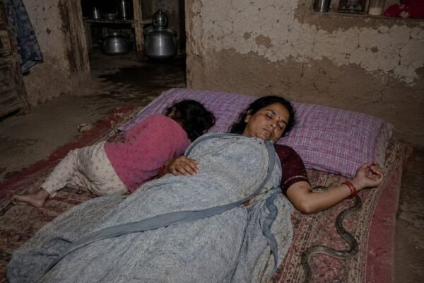 Snake Bite: मंदसौर में महिला को सांप ने डसा, पति मरा हुआ सांप लेकर अस्पताल पहुंचा