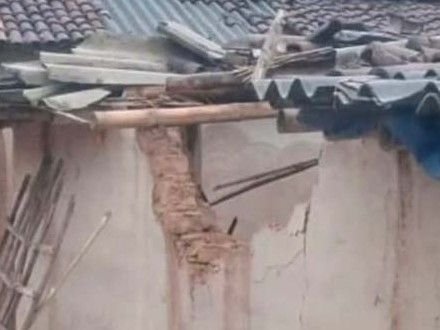 Elephant: रायगढ़ में 106 हाथियों का आतंक, घर और फसलें तबाह