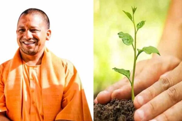 UP: 18 जुलाई से शुरू होगा समृद्धि वन अभियान, किसानों की बढ़ेगी आय