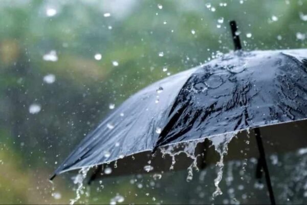 UP Weather: यूपी में मानसून सुस्त, भीषण गर्मी और उमस से जनता बेहाल।