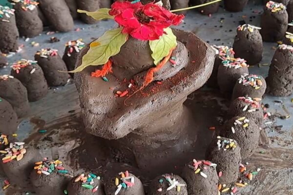 Sawan: घर में शिवलिंग रखने के नियम, गलती करने पर पूजा अधूरी मानी जाएगी