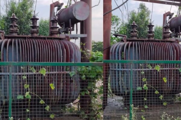UP News: तीन दिन से ट्रांसफार्मर खराब, अंधेरे में डूबे लोग और अधिकारी गायब