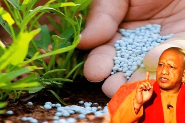 यूपी: घटिया खाद बांटने वाली चीनी मिलों पर होगी सख्त कार्रवाई, जब्त होगी बैंक गारंटी