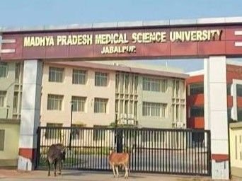 Jabalpur University: मेडिकल यूनिवर्सिटी के बंटवारे पर बवाल, राज्यपाल से रोक की मांग