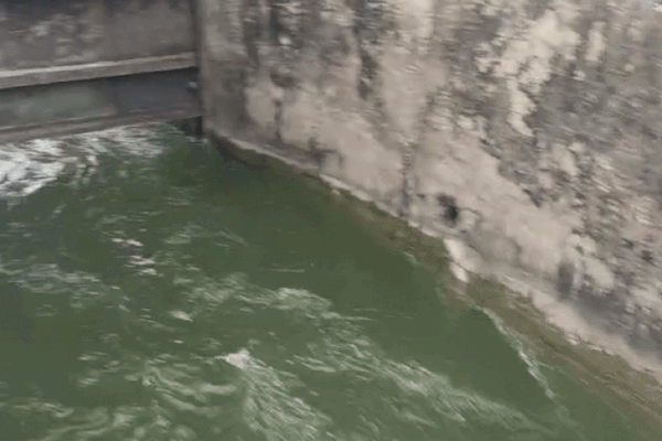 Bhanwarsa Dam: ऊर्जा मंत्री की पहल पर हरिश्चंद्र सागर नहरों में छोड़ा पानी, किसानों को राहत
