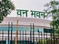 Promotion: वन विभाग के कर्मचारियों ने कार्यवाहक पद के लिए की मांग