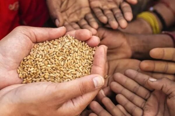 Donation: सनातन धर्म में इन चीजों का दान है सबसे फलदायी