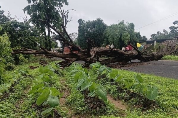 Weather Update: एमपी के 17 जिलों में भारी बारिश का अलर्ट