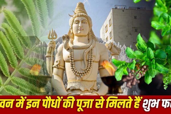 Sawan 2026: जीवन की बाधाएं दूर करने के लिए सावन में लगाएं ये 4 पौधे