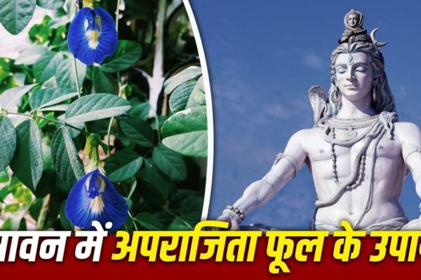 Sawan 2026: इस खास फूल के उपाय से पाएं महादेव की कृपा