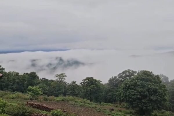 Surguja: आकाशीय बिजली गिरने से 2 बच्चों की मौत, 2 घायल