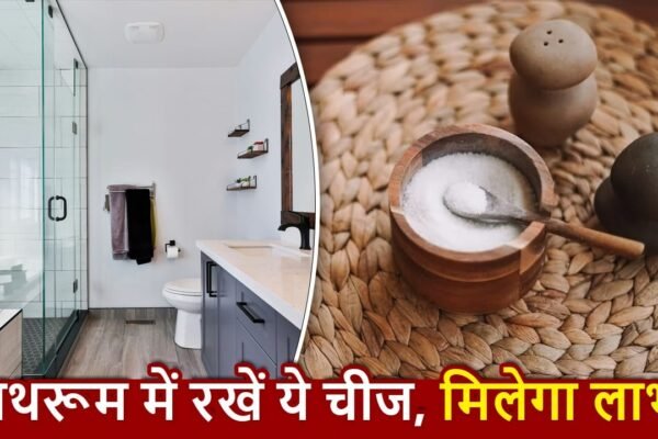 Vastu Tips: बाथरूम में रखें ये खास चीज, बरसेगा पैसा और आएगी सुख-समृद्धि
