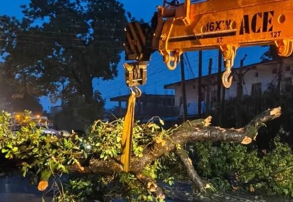 Sukma News: हाईवे पर पिकअप पर गिरा पेड़, कड़ी मशक्कत से ड्राइवर बचा