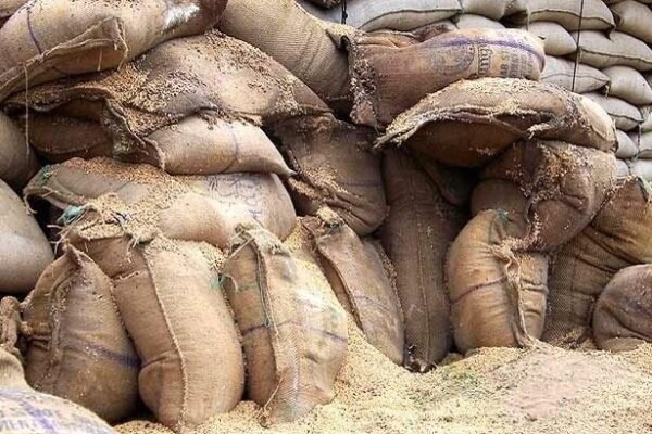 FCI Update: राजस्थान के गोदामों में सबसे ज्यादा अनाज बर्बाद, 36 करोड़ का नुकसान