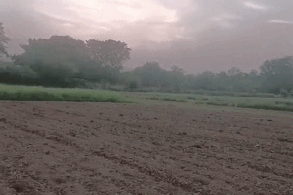 Rain: लेकसिटी रेड जोन में, सूखे से किसान परेशान, आज भारी बारिश का अलर्ट