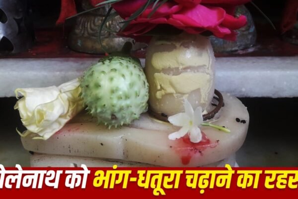 Shiv: भगवान शिव को भांग और धतूरा क्यों चढ़ाया जाता है?