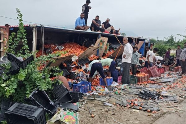 Maihar Accident: Tomato-laden truck overturns on highway while dodging stray cattle, driver injured