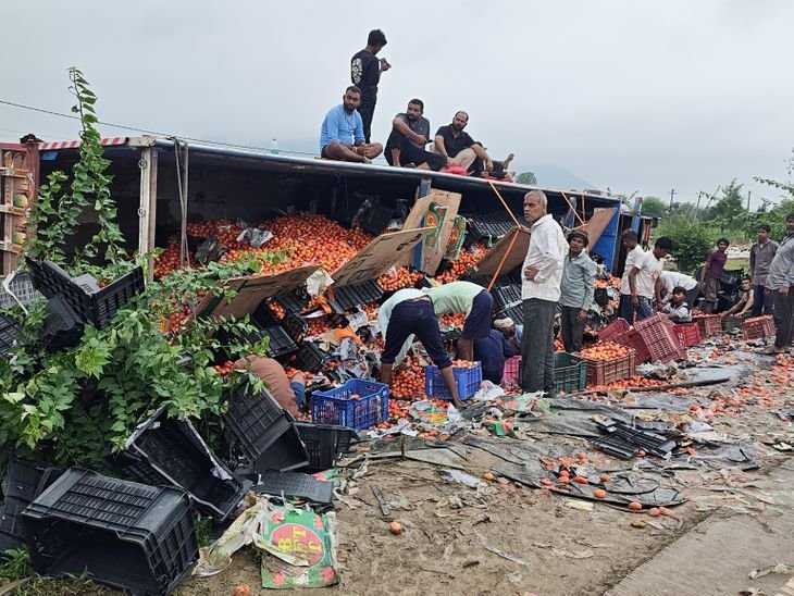Maihar Accident: Tomato-laden truck overturns on highway while dodging stray cattle, driver injured
